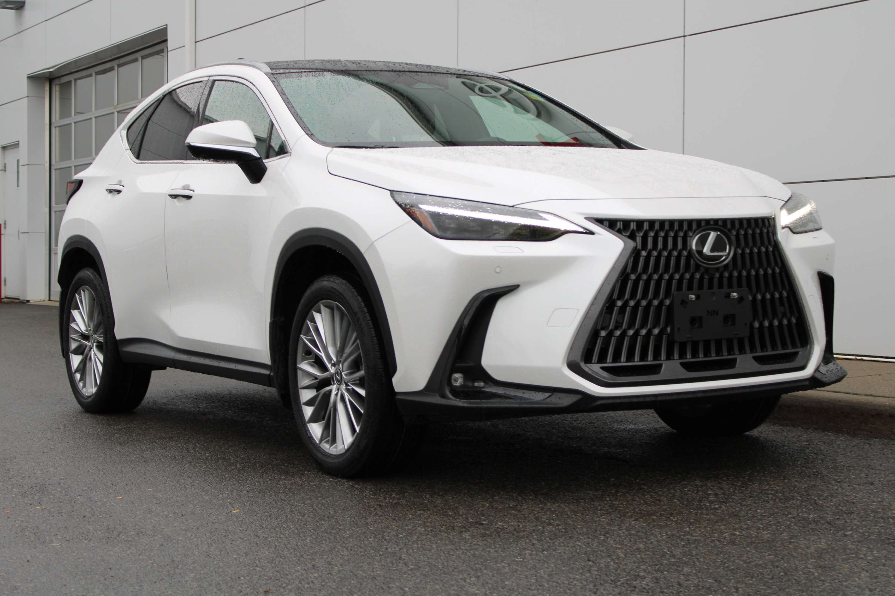 2024 Lexus NX Hybrid