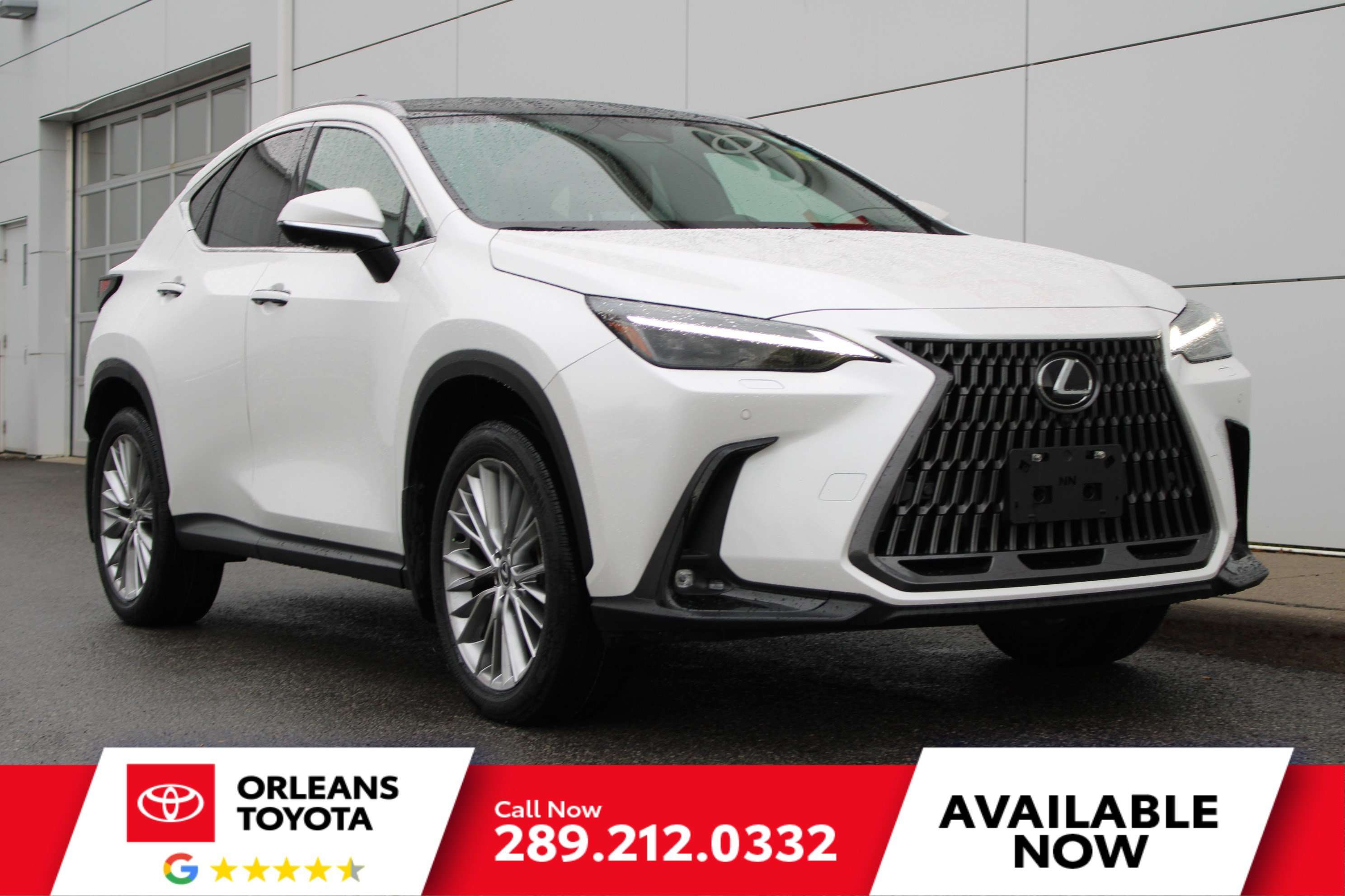 2024 Lexus NX Hybrid