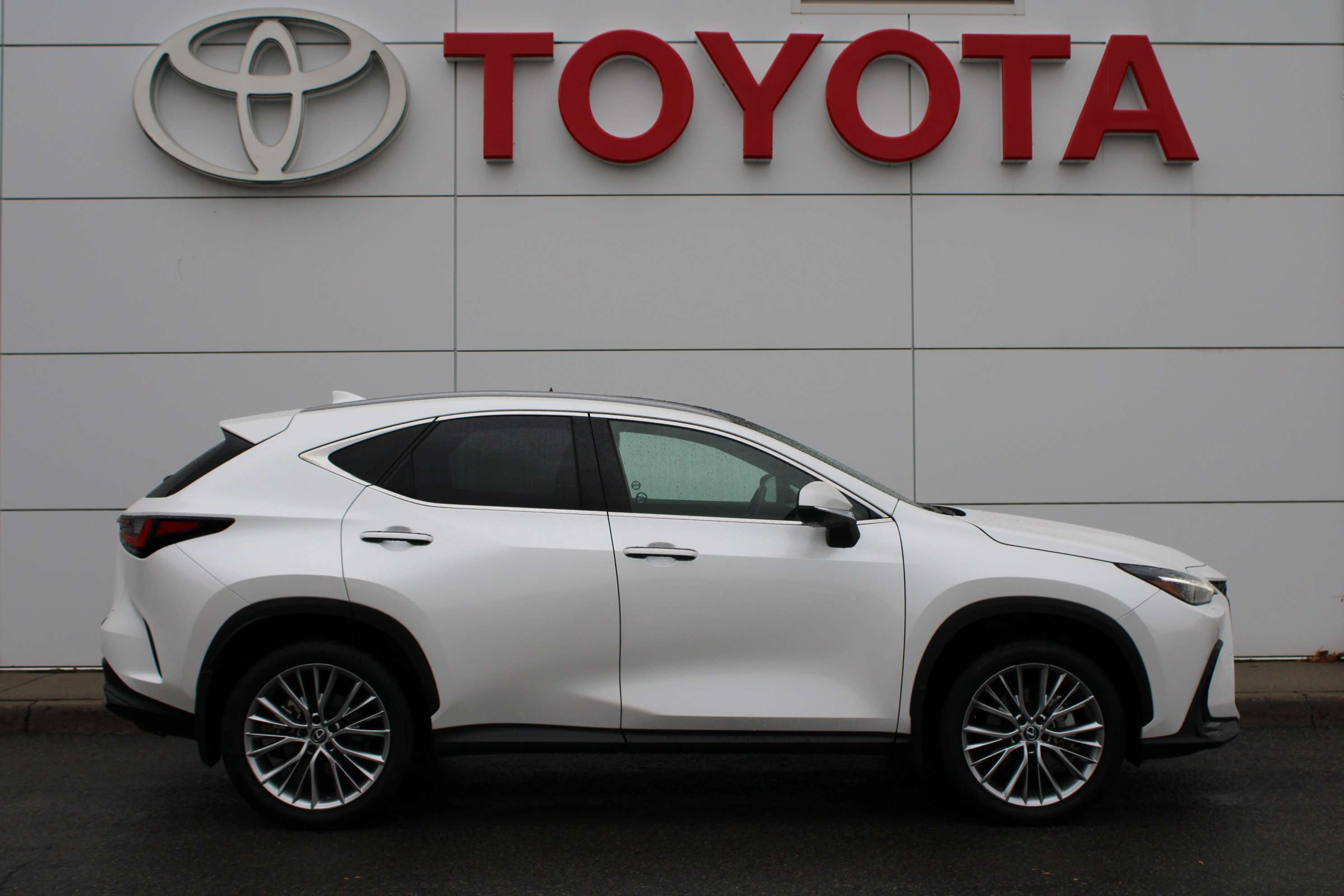2024 Lexus NX Hybrid