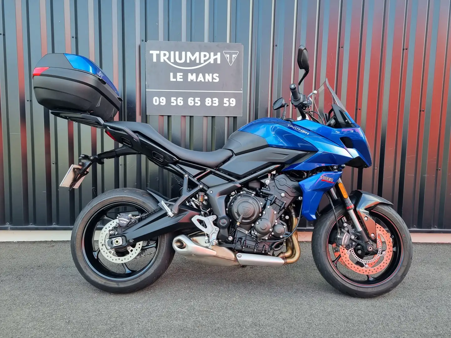 Triumph Tiger Sport Bleu - 1