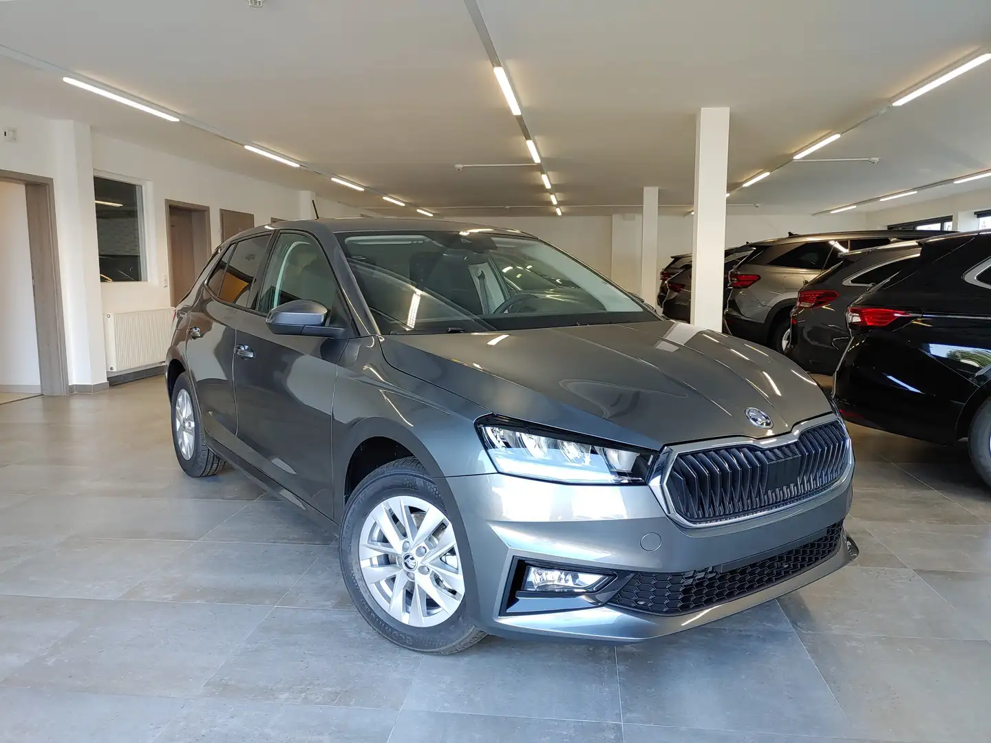 Skoda Fabia 1.0 TSI DSG Select SmartLink/Tempomat/Kam/5Jahre Grau - 2