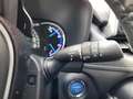 Toyota RAV 4 2.5 Hybrid AWD Executive Grijs - thumbnail 21