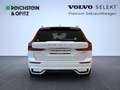 Volvo XC60 Plus Dark AWD Weiß - thumbnail 6
