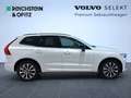 Volvo XC60 Plus Dark AWD Weiß - thumbnail 4