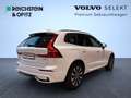 Volvo XC60 Plus Dark AWD Weiß - thumbnail 5