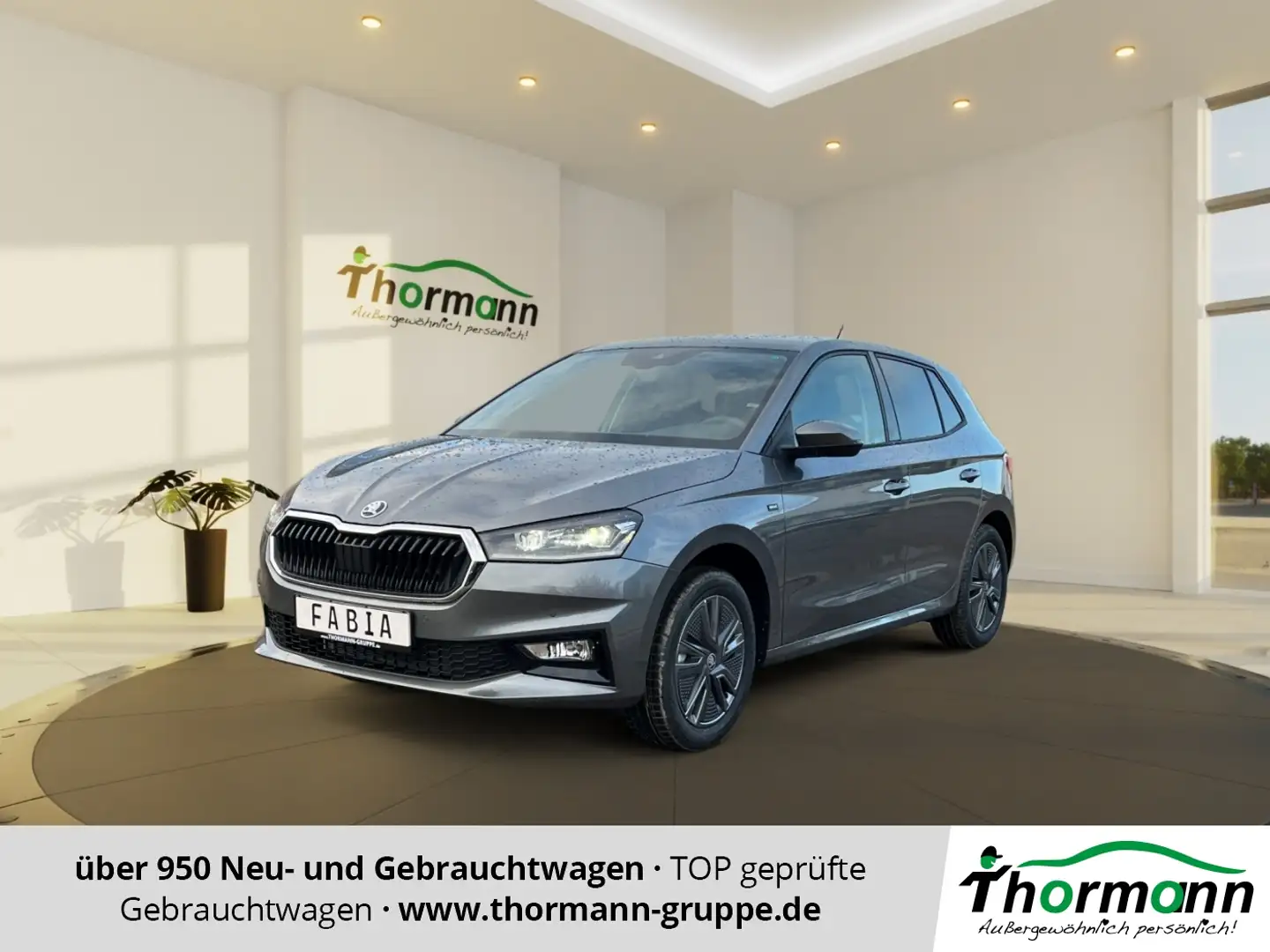 Skoda Fabia Drive 1.0 TSI ACC FLA LM KAM LED KeyLess Grau - 1