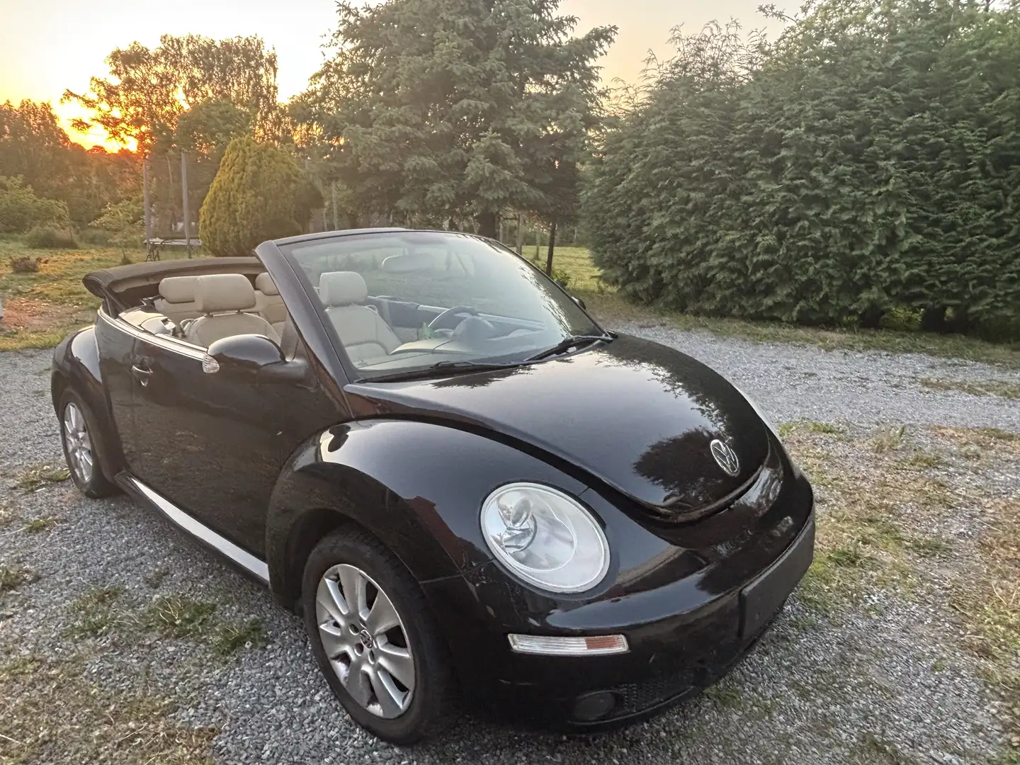 Volkswagen Beetle - 1