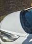 Kia Carens Carens IV 2013 1.7 crdi Class 115cv 5p Alb - thumbnail 8