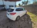 Kia Carens Carens IV 2013 1.7 crdi Class 115cv 5p Alb - thumbnail 3