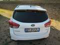 Kia Carens Carens IV 2013 1.7 crdi Class 115cv 5p Alb - thumbnail 9