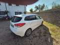 Kia Carens Carens IV 2013 1.7 crdi Class 115cv 5p Alb - thumbnail 4