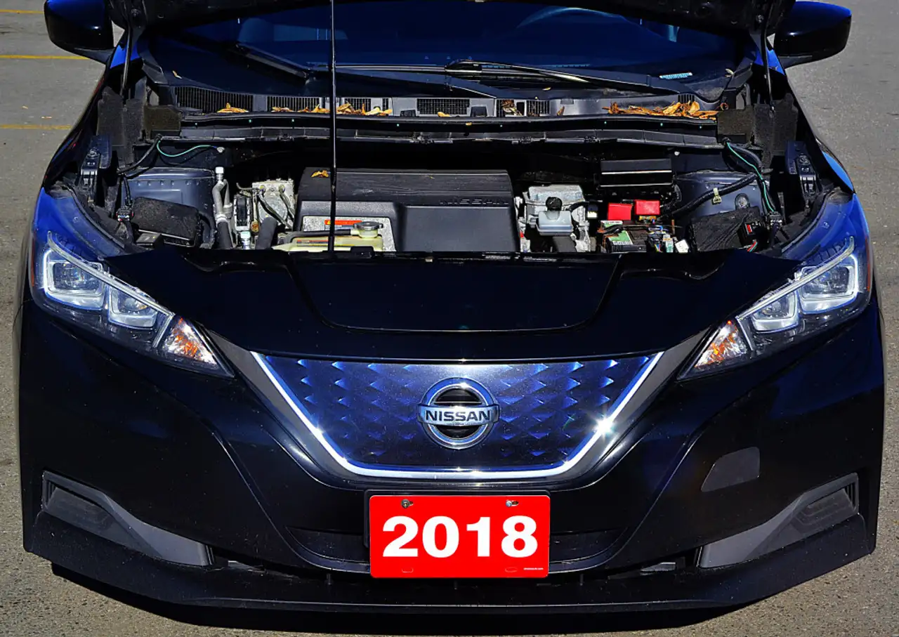 Nissan Leaf снимка Nissan Leaf