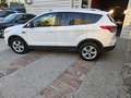Ford Kuga 2.0TDCi Titanium 4x2 140 Blanc - thumbnail 3