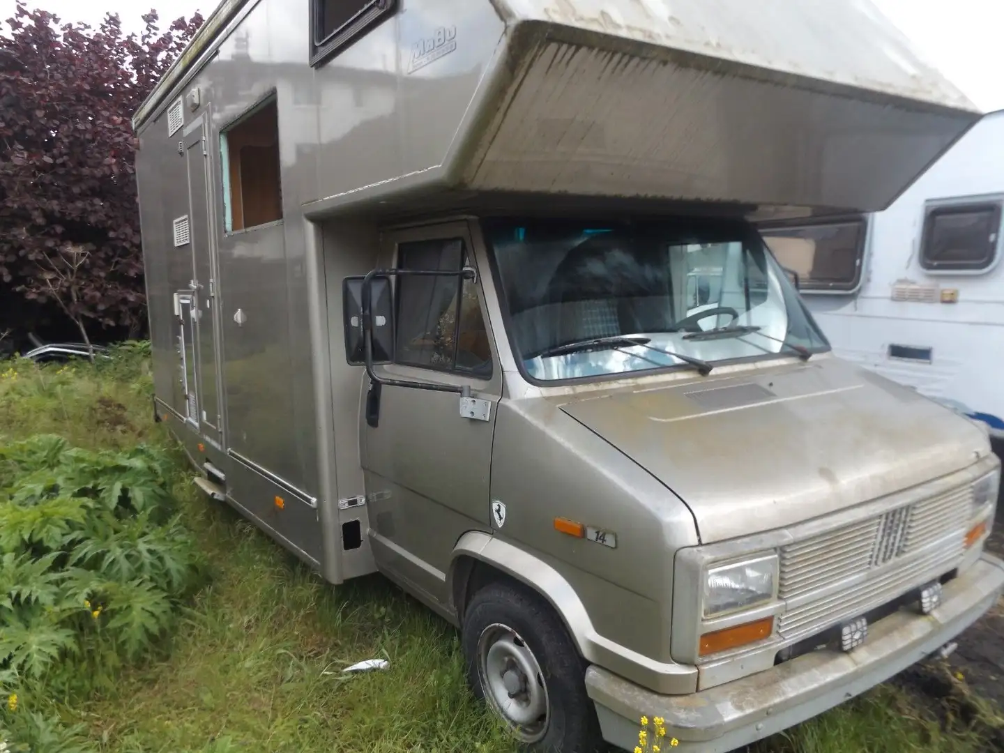Fiat Ducato Wohnmobil Alkovenaufbau Projektaufgabe Plateado - 2