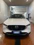 Mazda CX-5 2.2L Skyactiv-D 150 CV 2WD Business Weiß - thumbnail 14