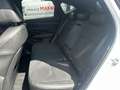 Hyundai TUCSON 1.6 T-GDI HEV N Line | Apple Carplay/Android Auto Blanco - thumbnail 18