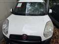 Fiat Doblo Doblò SX Kasten*MULTIJET*Export*Motorschaden* Wit - thumbnail 3