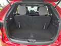 Mazda CX-80 3.3L e-SKYACTIV D AWD Homura Plus Aut. Allra Rot - thumbnail 13