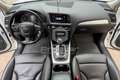 Audi Q5 Q5 3.0 V6 TDI quattro S tronic Advanced Plus Bianco - thumbnail 10