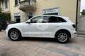 Audi Q5 Q5 3.0 V6 TDI quattro S tronic Advanced Plus Bianco - thumbnail 8