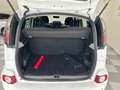 Citroen C3 Picasso 1.6 hdi Exclusive SOLO TAGLIANDI CITROEN Blanco - thumbnail 18