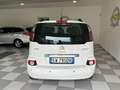 Citroen C3 Picasso 1.6 hdi Exclusive SOLO TAGLIANDI CITROEN Blanco - thumbnail 5