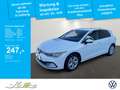 Volkswagen Golf VIII 1.0 TSI Life *LED*KAMERA*NAVI*SITZH* Weiß - thumbnail 1