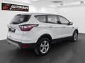 Ford Kuga 1,5 EcoBoost Titanium | 1.BESITZ | Weiß - thumbnail 6