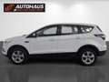 Ford Kuga 1,5 EcoBoost Titanium | 1.BESITZ | Weiß - thumbnail 2