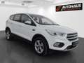 Ford Kuga 1,5 EcoBoost Titanium | 1.BESITZ | Weiß - thumbnail 4