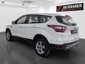 Ford Kuga 1,5 EcoBoost Titanium | 1.BESITZ | Weiß - thumbnail 3