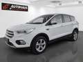 Ford Kuga 1,5 EcoBoost Titanium | 1.BESITZ | Weiß - thumbnail 1