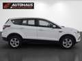 Ford Kuga 1,5 EcoBoost Titanium | 1.BESITZ | Weiß - thumbnail 5