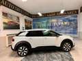 Citroen C4 Cactus PureTech 110 S&S Shine Pack Wit - thumbnail 6