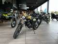 Overig Bluroc Hero 125 - thumbnail 3