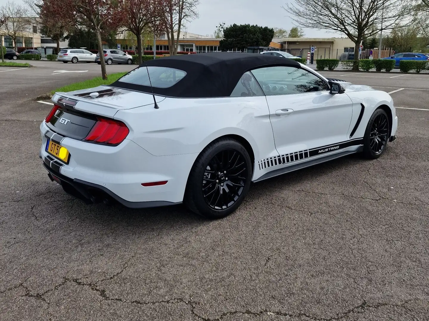 Ford Mustang Convertible FACELIFT SHELBY 5.0V8 GT55year edition Blanc - 2