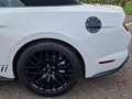 Ford Mustang Convertible FACELIFT SHELBY 5.0V8 GT55year edition Blanc - thumbnail 11