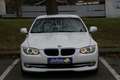BMW 320 Cabrio 320d KLIMA NAVI LEDER ALU Weiß - thumbnail 21