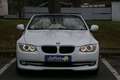 BMW 320 Cabrio 320d KLIMA NAVI LEDER ALU Weiß - thumbnail 8