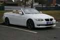 BMW 320 Cabrio 320d KLIMA NAVI LEDER ALU Weiß - thumbnail 7