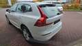 Volvo XC60 B4 D Core Auto Blanco - thumbnail 5