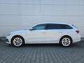 Skoda Octavia Combi First Edition+Leder+Navi+LED...... Blanc - thumbnail 2