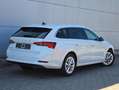 Skoda Octavia Combi First Edition+Leder+Navi+LED...... Blanc - thumbnail 8