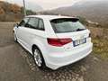 Audi A3 A3 III 2013 Sportback 1.6 tdi Ambition 110cv E6 Blanco - thumbnail 7