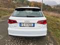Audi A3 A3 III 2013 Sportback 1.6 tdi Ambition 110cv E6 Blanco - thumbnail 6