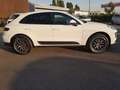 Porsche Macan 2.0 252cv pdk TAGLIANDI PORSCHE Blanc - thumbnail 4
