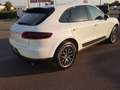 Porsche Macan 2.0 252cv pdk TAGLIANDI PORSCHE Blanc - thumbnail 7