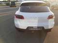 Porsche Macan 2.0 252cv pdk TAGLIANDI PORSCHE Blanc - thumbnail 6