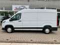 Maxus Deliver 9 DELIVERY9 KASTEN/KAMERA/AppleCarPlay/TÜV+SERVICE Blanc - thumbnail 3