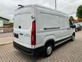 Maxus Deliver 9 DELIVERY9 KASTEN/KAMERA/AppleCarPlay/TÜV+SERVICE Blanc - thumbnail 5